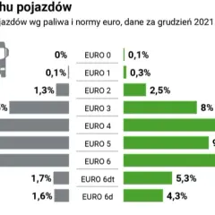Norma Euro 6 - Poziom emisji spalin Euro 6 DG