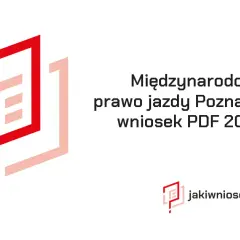 Jak wyrobić międzynarodowe prawo jazdy w Poznaniu? Poradnik krok po