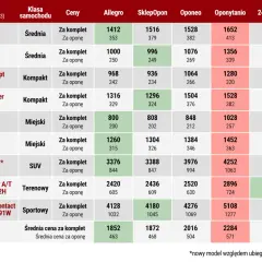 Tabela z cenami opon zimowych różnych marek i modeli, z podziałem na klasy samochodów i sklepy.