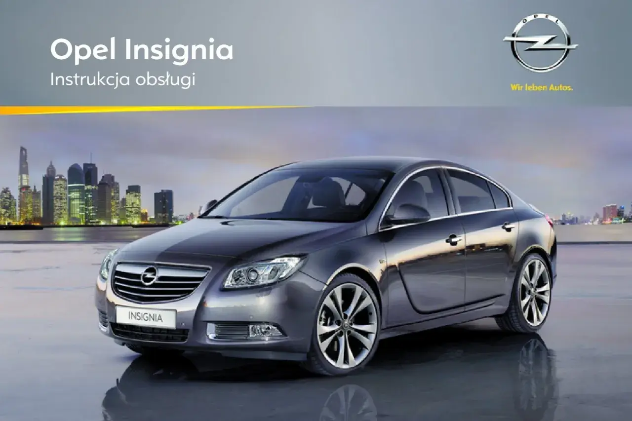 Szary Opel Insignia na tle miasta nocą.